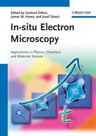 Kniha In-situ Electron Microscopy - Applications in Physics, Chemistry and Materials Science Gerhard Dehm