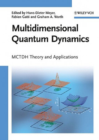 Knjiga Multidimensional Quantum Dynamics Hans-Dieter Meyer