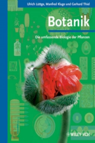 Kniha Botanik - Die umfassende Biologie der Pflanzen Ulrich Lüttge