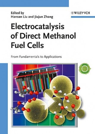 Kniha Electrocatalysis of Direct Methanol Fuel Cells Hansan Liu