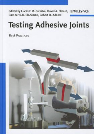 Kniha Testing Adhesive Joints - Best Practices Lucas Filipe Martins da Silva