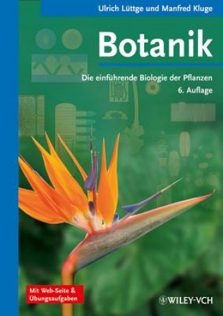 Libro Botanik 6e - Die einfuhrende Biologie der Pflanzen Ulrich Lüttge