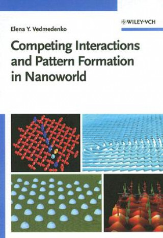 Książka Competing Interactions and Pattern Formation in Nanoworld Elena Vedmedenko