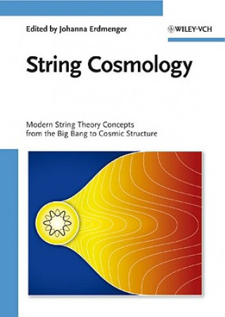 Carte String Cosmology Johanna Erdmenger