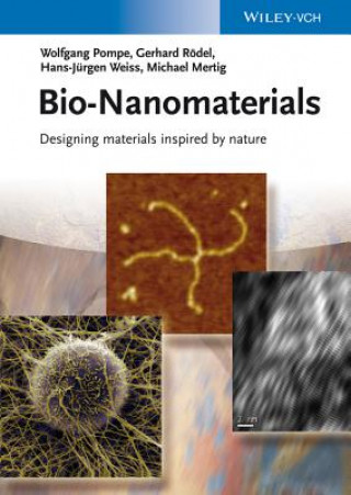 Kniha Bio-Nanomaterials - Designing materials inspired by nature Wolfgang Pompe