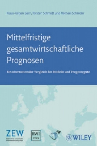 Knjiga Mittelfristige gesamtwirtschaftliche Prognosen Klaus-Jürgen Gern