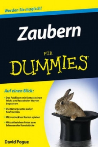 Kniha Zaubern Fur Dummies David Pogue