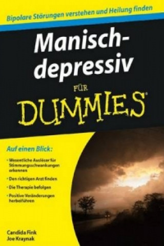 Kniha Manisch-depressiv fur Dummies Candida Fink