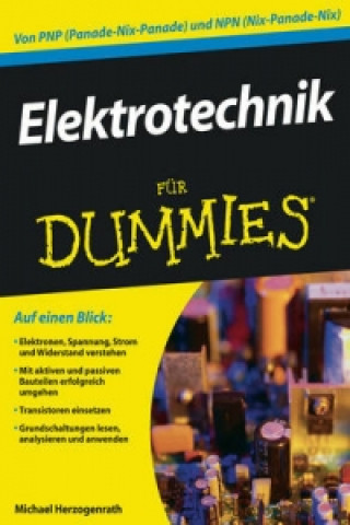 Kniha Elektrotechnik für Dummies Michael Herzogenrath