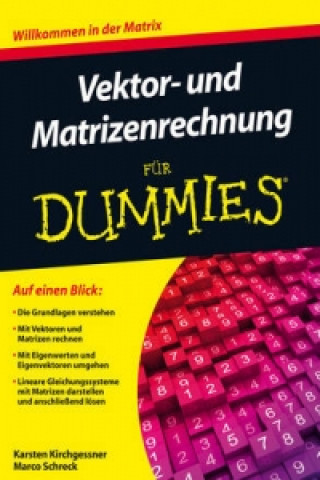 Könyv Vektor- und Matrizenrechnung fur Dummies Karsten Kirchgessner