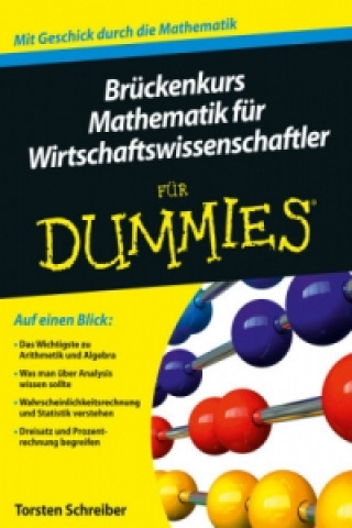 Kniha Bruckenkurs Mathematik fur Wirtschaftswissenschaftler fur Dummies Christian Jaschinski