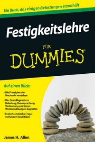 Kniha Festigkeitslehre fur Dummies James H. Allen