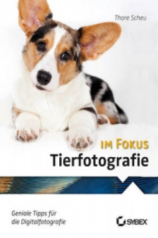 Kniha Tierfotografie im Fokus Thore Scheu