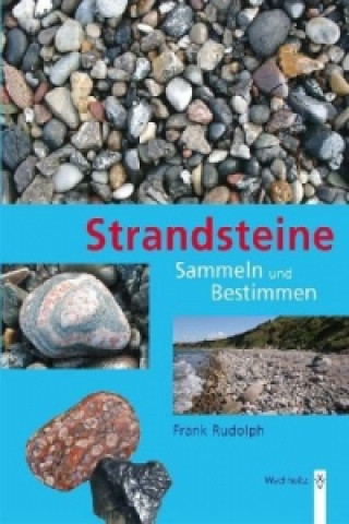 Kniha Strandsteine Frank Rudolph