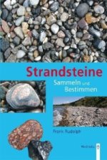 Könyv Strandsteine Frank Rudolph