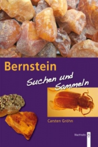Kniha Bernstein Carsten Gröhn
