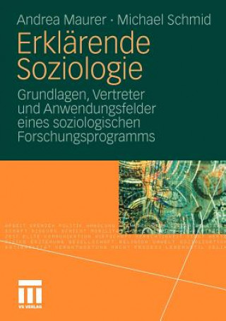 Livre Erkl rende Soziologie Andrea Maurer