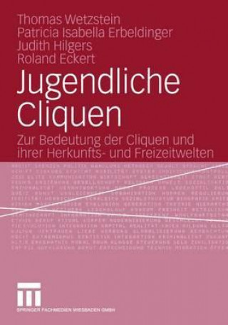 Książka Jugendliche Cliquen Thomas Wetzstein