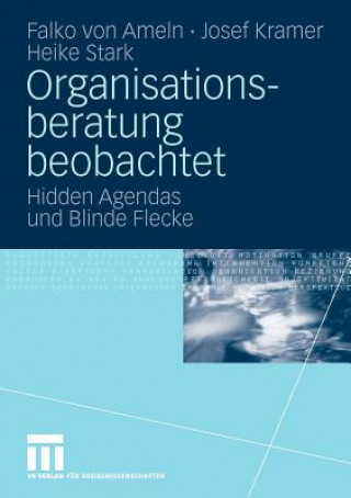 Buch Organisationsberatung Beobachtet Falko von Ameln