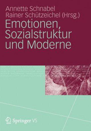 Książka Emotionen, Sozialstruktur Und Moderne Annette Schnabel