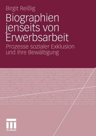 Книга Biographien Jenseits Von Erwerbsarbeit Birgit Reißig
