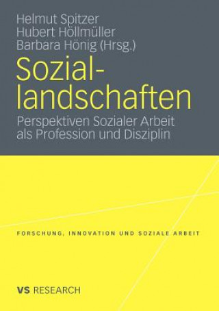 Carte Soziallandschaften Helmut Spitzer