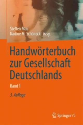 Książka Handworterbuch zur Gesellschaft Deutschlands Steffen Mau