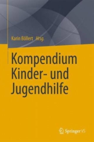 Книга Kompendium Kinder- und Jugendhilfe Karin Böllert