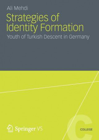 Kniha Strategies of Identity Formation Ali Mehdi