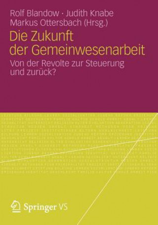 Buch Die Zukunft Der Gemeinwesenarbeit Rolf Blandow