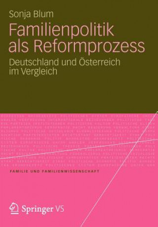 Kniha Familienpolitik ALS Reformprozess Sonja Blum