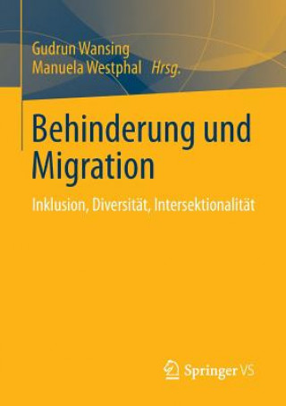 Carte Behinderung Und Migration Gudrun Wansing