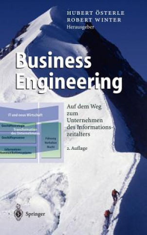 Kniha Business Engineering Hubert Österle