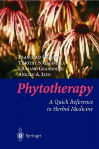 Kniha Phytotherapy Francesco Capasso