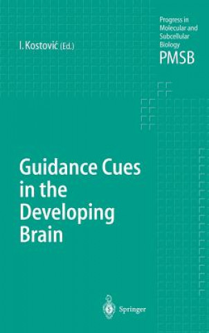 Kniha Guidance Cues in the Developing Brain I. Kostovic