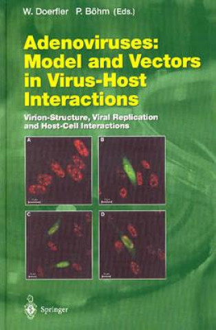 Kniha Adenoviruses: Model and Vectors in Virus-Host Interactions Walter Doerfler