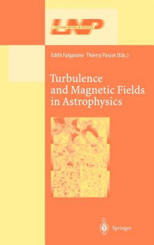 Könyv Turbulence and Magnetic Fields in Astrophysics E. Falgarone