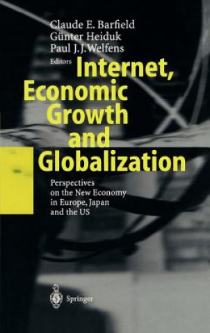 Kniha Internet, Economic Growth and Globalization C. E. Barfield
