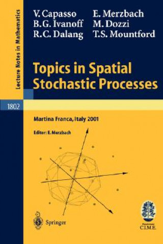 Libro Topics in Spatial Stochastic Processes Ely Merzbach