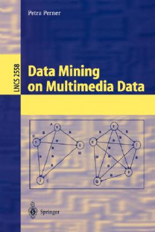 Könyv Data Mining on Multimedia Data Petra Perner