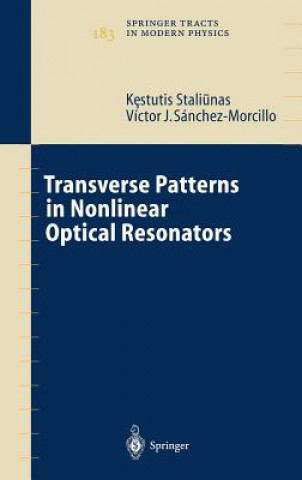 Boek Transverse Patterns in Nonlinear Optical Resonators K. Staliunas