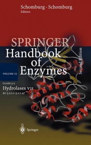 Книга Class 3.2 Hydrolases VII Antje Chang