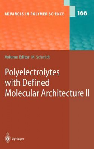Kniha Polyelectrolytes with Defined Molecular Architecture II Manfred Schmidt
