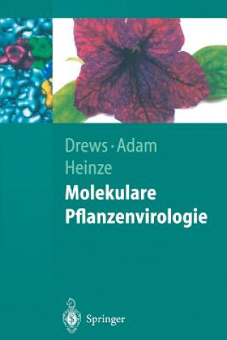 Könyv Molekulare Pflanzenvirologie Gerhart Drews