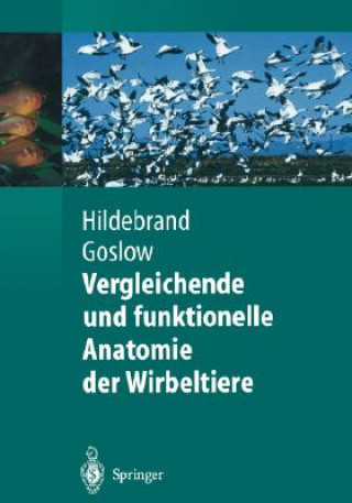 Książka Vergleichende Und Funktionelle Anatomie Der Wirbeltiere Milton Hildebrand