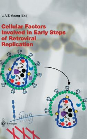 Buch Cellular Factors Involved in Early Steps of Retroviral Replication J. A. T. Young