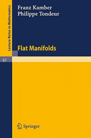 Kniha Flat Manifolds Franz Kamber