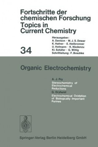 Knjiga Organic Electrochemistry L. Eberson