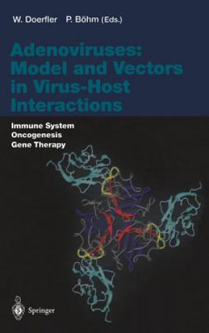 Książka Adenoviruses: Model and Vectors in Virus-Host Interactions Walter Doerfler