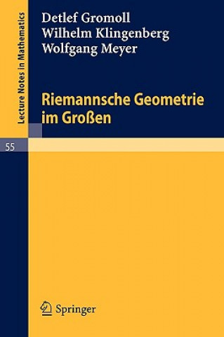 Książka Riemannsche Geometrie im Großen Detlef Gromoll